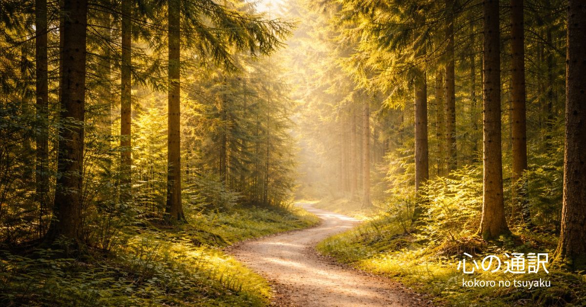 朝の光が差し込む森の小道|心の通訳