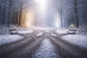 冬の森の中で、複数の道が分かれている風景